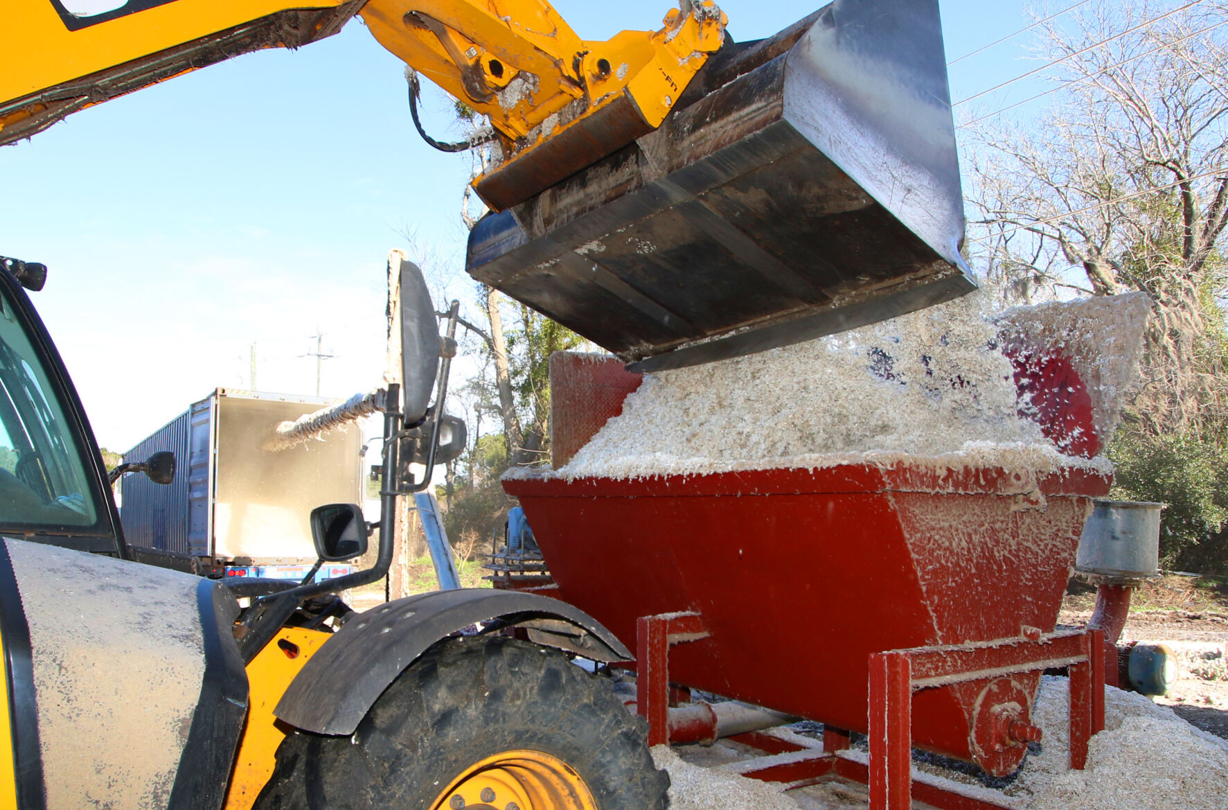 Cottonseed pic3